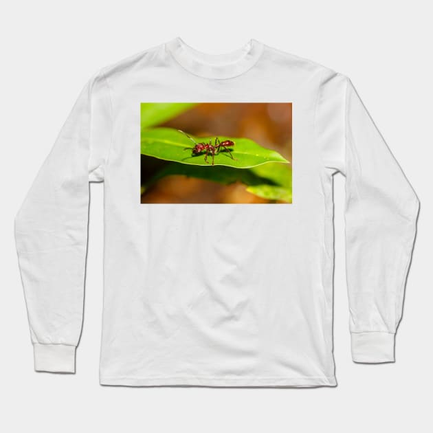 A bullet ant, Paraponera clavata Long Sleeve T-Shirt by GrahamPrentice